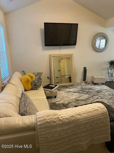 bedroom featuring vaulted ceiling