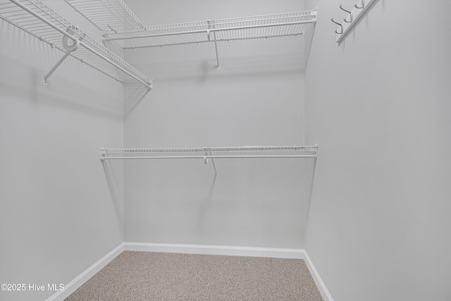 walk in closet featuring carpet flooring