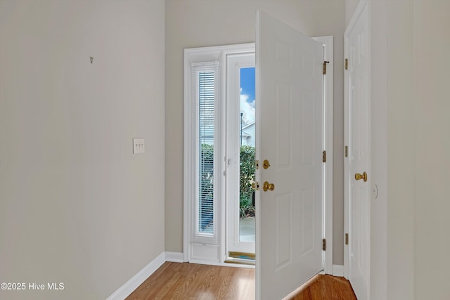 entrance foyer with light hardwood / wood-style flooring