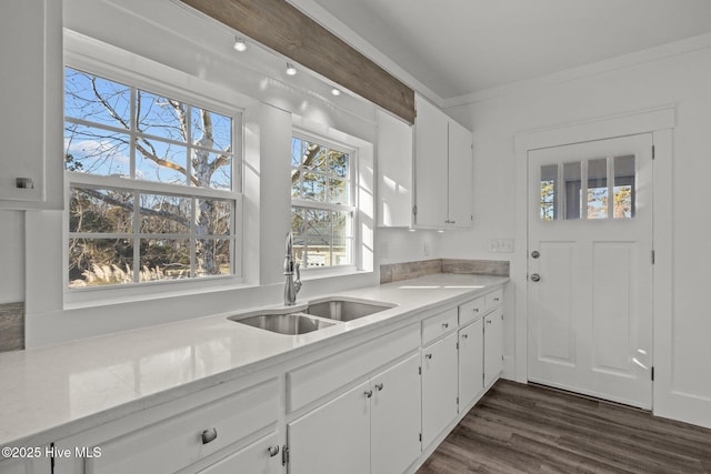 kitchen with dark wood-type flooring, white cabinetry, ornamental molding, and sink