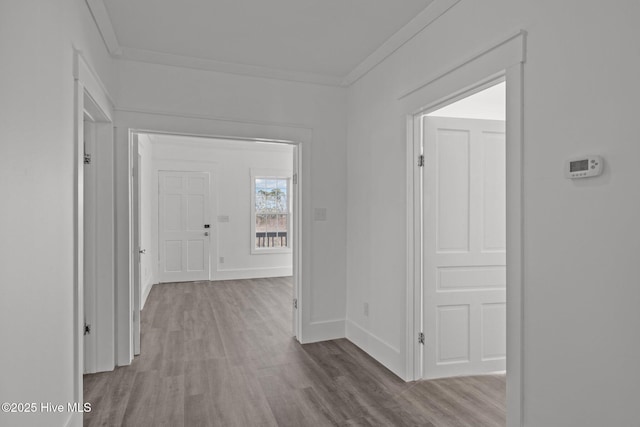 hallway with light hardwood / wood-style floors and crown molding