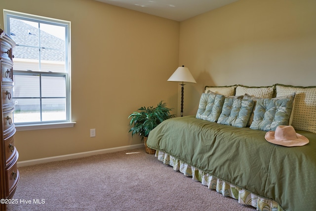 bedroom featuring carpet