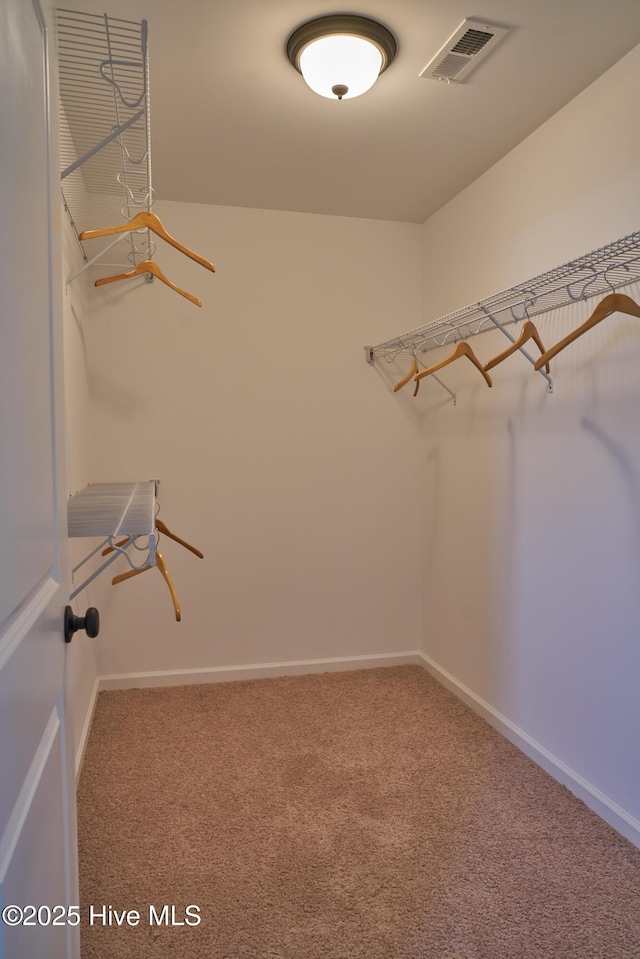 walk in closet with carpet floors