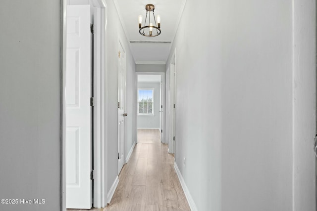 corridor with an inviting chandelier, ornamental molding, and light wood-type flooring