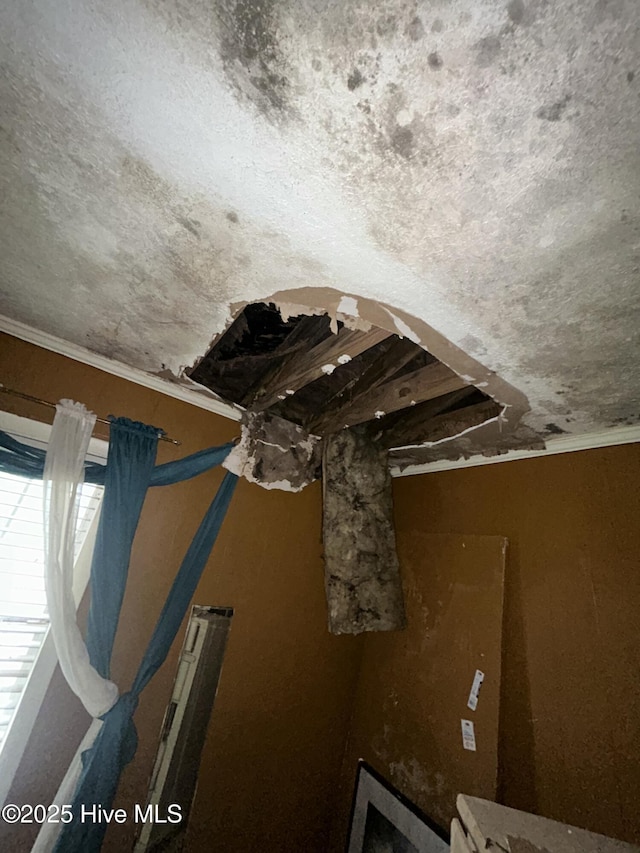 interior details with crown molding