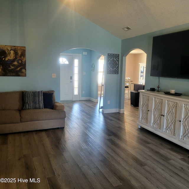 living room featuring lofted ceiling, a textured ceiling, and dark hardwood / wood-style flooring