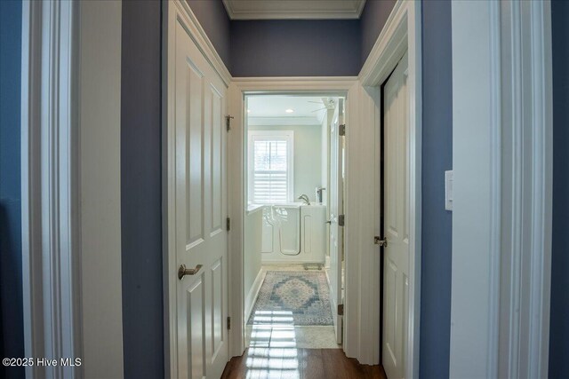 hallway with dark wood-type flooring and ornamental molding