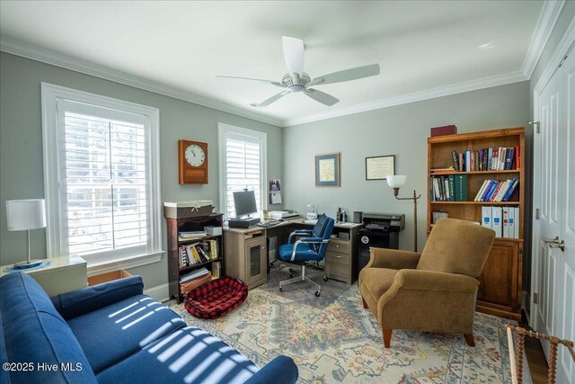 office space featuring a wealth of natural light, crown molding, and a ceiling fan