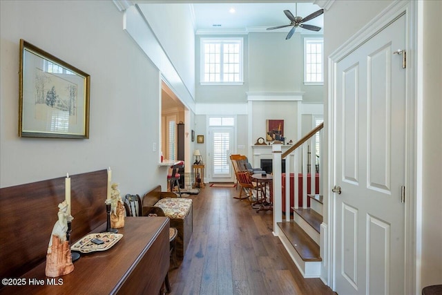 entrance foyer with a wealth of natural light, stairway, a fireplace, and dark wood-style floors