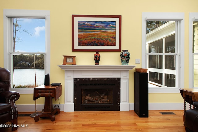 sitting room with a fireplace, plenty of natural light, and light wood-type flooring