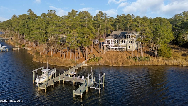 dock area featuring a water view