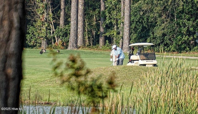 view of community featuring a water view and a yard