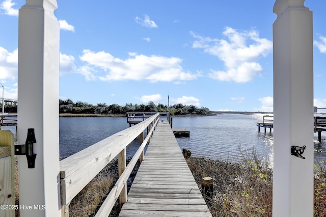 dock area with a water view