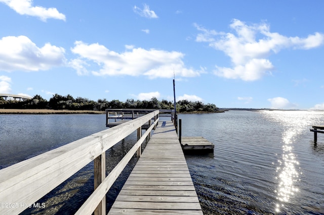 dock area featuring a water view