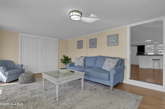 living room with ornamental molding and hardwood / wood-style flooring