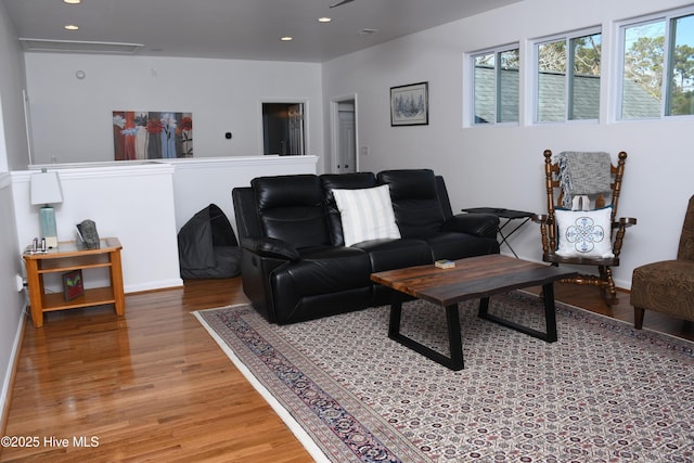 living room with wood-type flooring