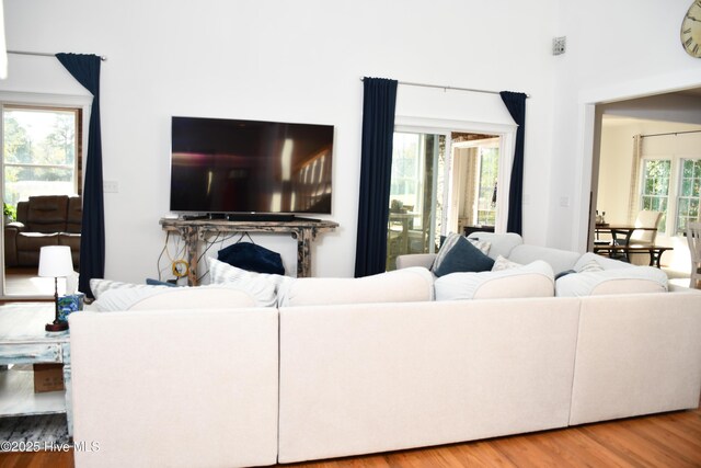 living room featuring a wealth of natural light and hardwood / wood-style floors