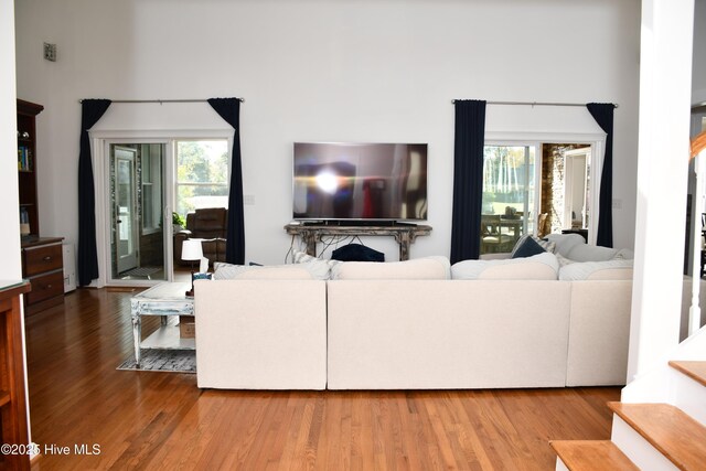 living room with plenty of natural light and hardwood / wood-style flooring