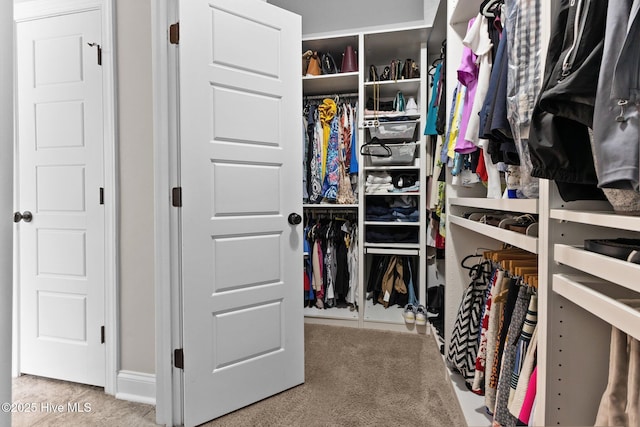 spacious closet featuring carpet floors