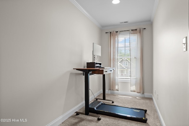 exercise area featuring carpet floors and crown molding