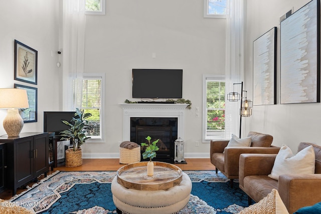 living room featuring hardwood / wood-style floors and a high ceiling