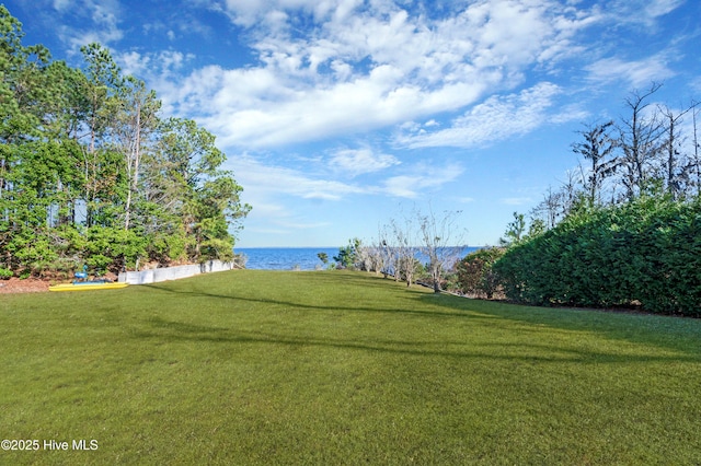 view of community featuring a water view and a yard