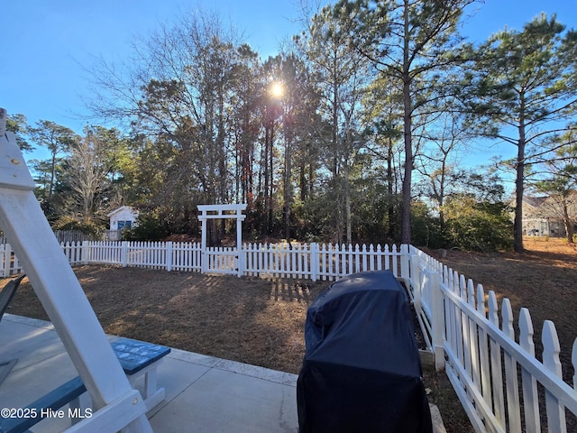 view of yard featuring a patio area