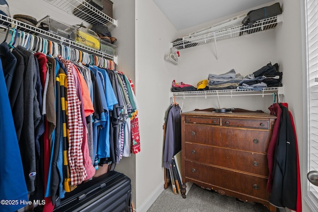 walk in closet with carpet floors