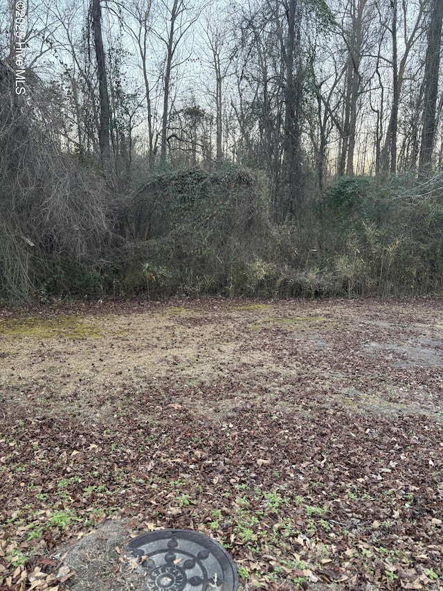 0 Richardson St, Elizabethtown NC, 28337 land for sale