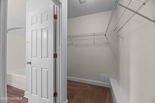 view of walk in closet