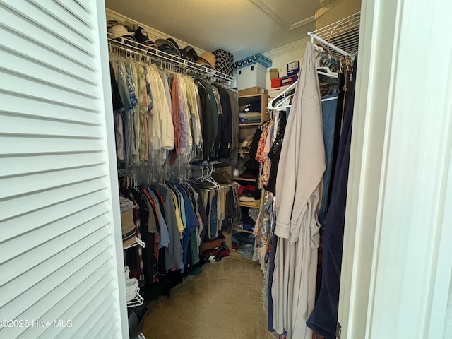 view of spacious closet