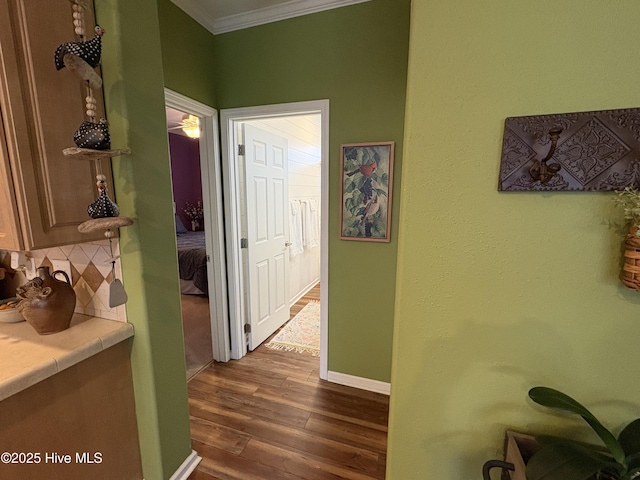 hall featuring crown molding and dark hardwood / wood-style flooring