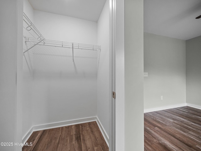 spacious closet featuring dark hardwood / wood-style flooring