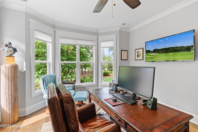 office featuring light hardwood / wood-style floors, ceiling fan, and ornamental molding