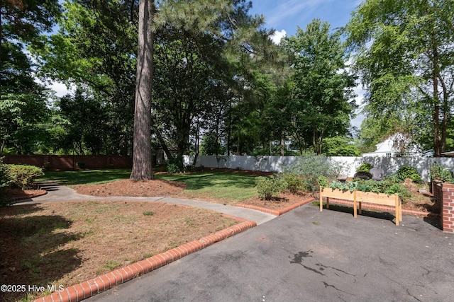 view of yard with a patio