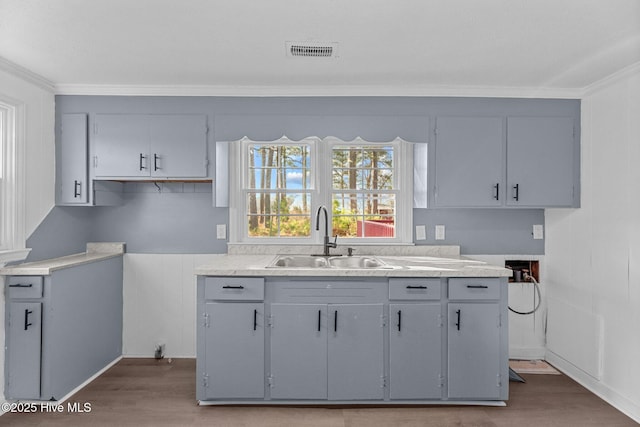 kitchen featuring sink, gray cabinets, ornamental molding, and wood-type flooring