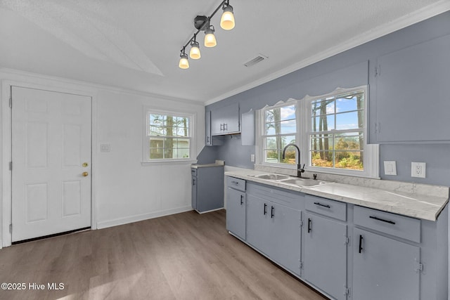 kitchen featuring decorative light fixtures, sink, light hardwood / wood-style flooring, and a wealth of natural light