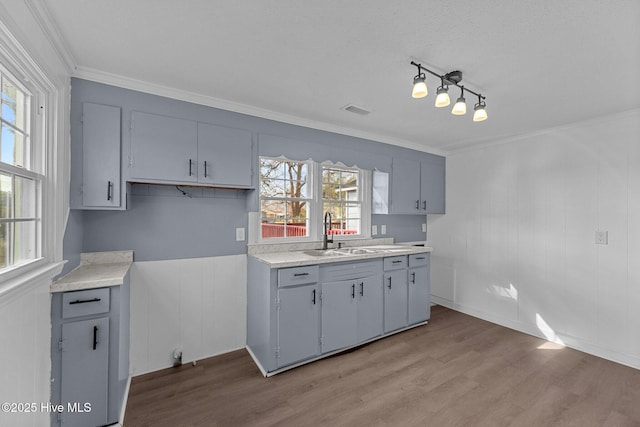 kitchen featuring crown molding, sink, light hardwood / wood-style flooring, and gray cabinetry