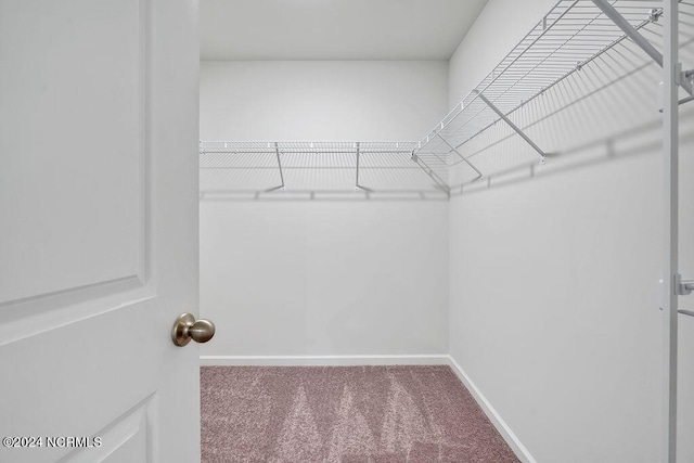 walk in closet featuring carpet