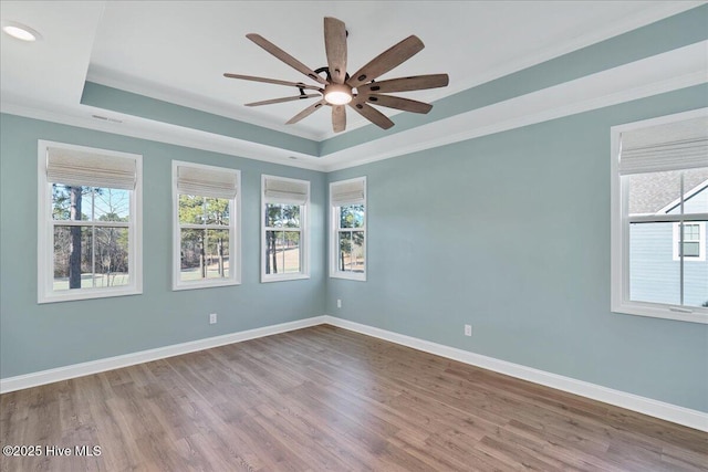 spare room featuring a raised ceiling, ceiling fan, crown molding, and wood-type flooring