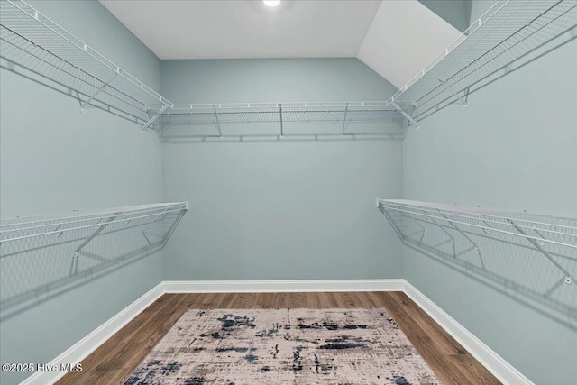 walk in closet featuring dark wood-type flooring