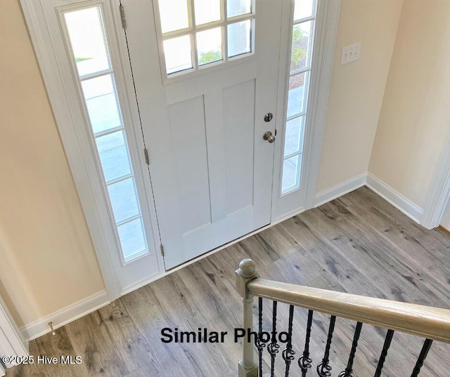 foyer with wood-type flooring