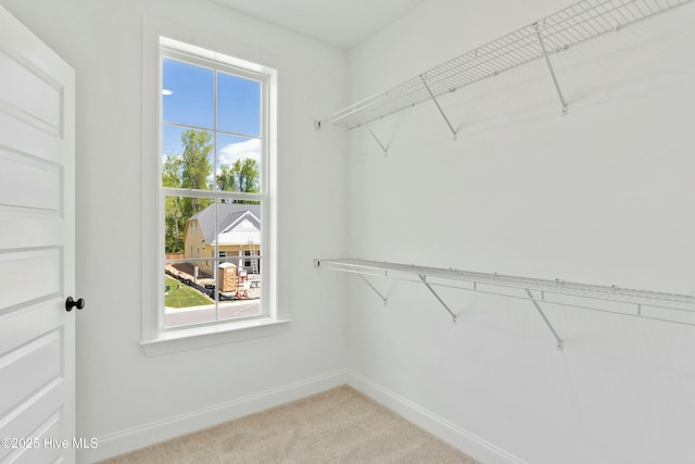 walk in closet featuring light colored carpet