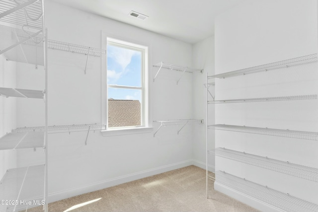 spacious closet featuring carpet floors