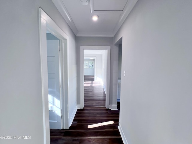 corridor with crown molding and dark hardwood / wood-style floors