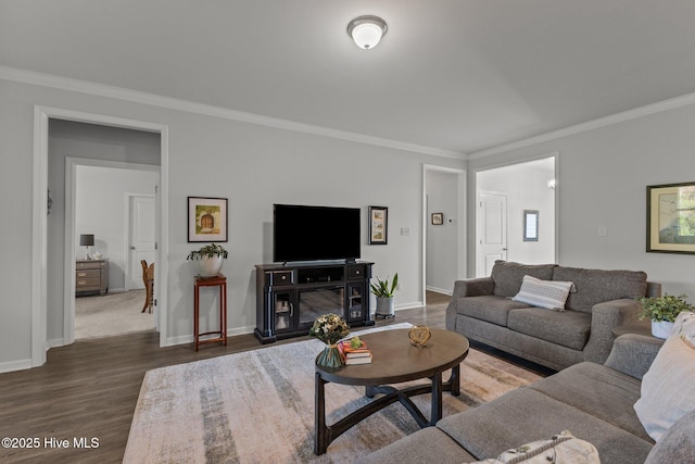 living room featuring crown molding and dark wood-type flooring