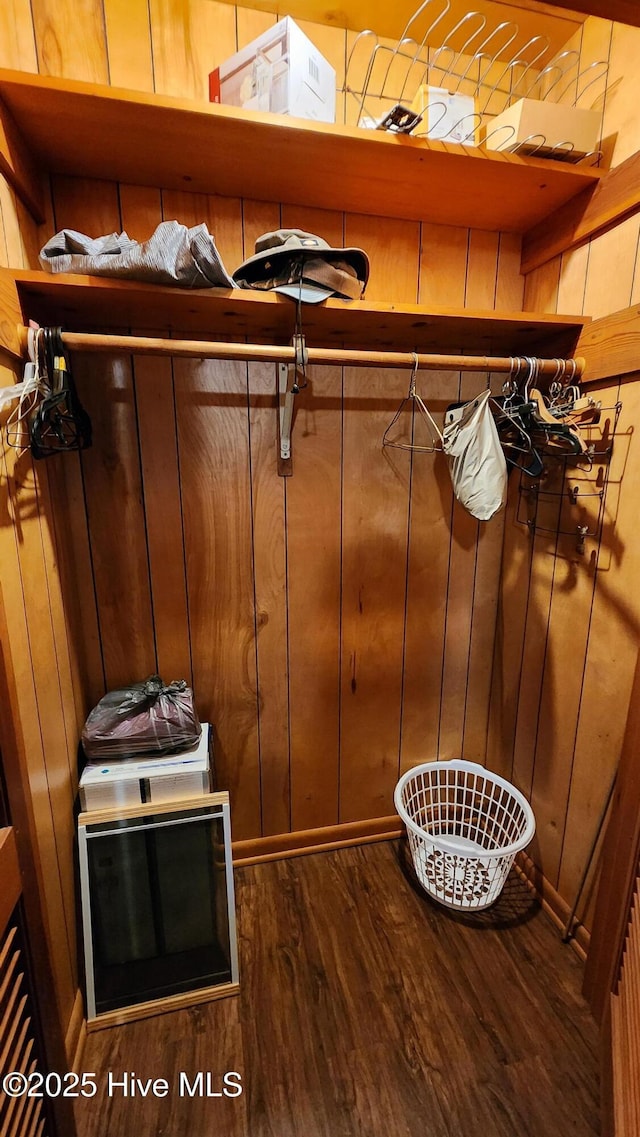 spacious closet featuring dark wood-type flooring