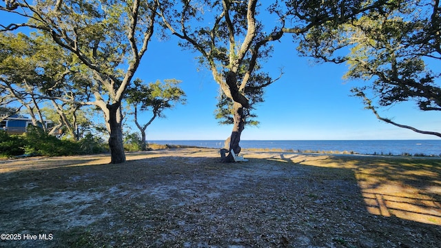 view of yard with a water view