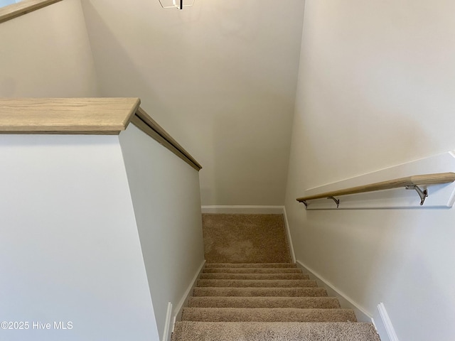 staircase featuring carpet flooring