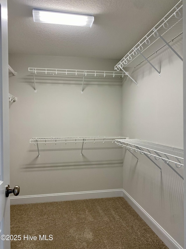 spacious closet with carpet